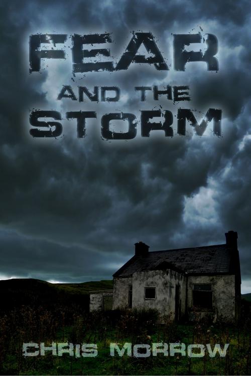 Cover of the book Fear And The Storm by Chris Morrow, Bard and Book