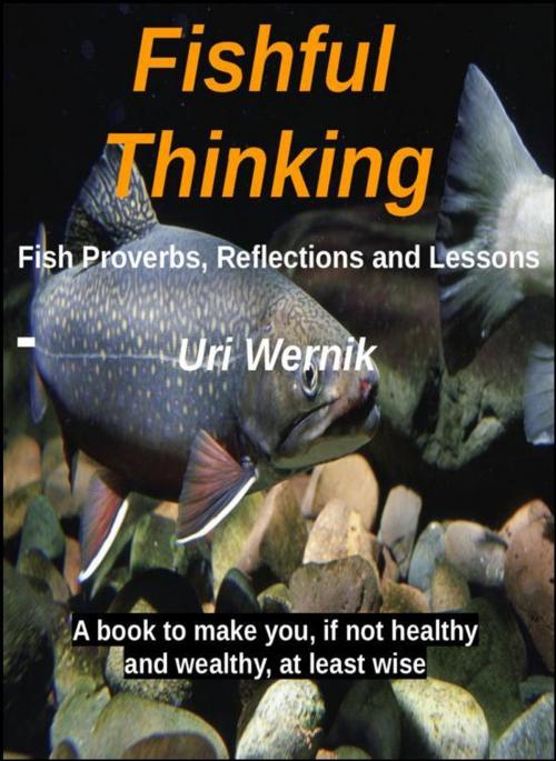 Cover of the book Fishful Thinking by Uri Wernik, Uri Wernik