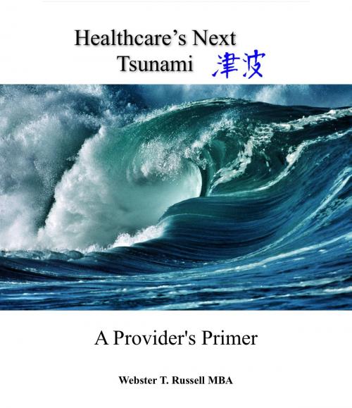 Cover of the book Healthcare's Next Tsunami, A Provider's Primer by Webster & Dee Russell & Coffeen, Webster & Dee Russell & Coffeen