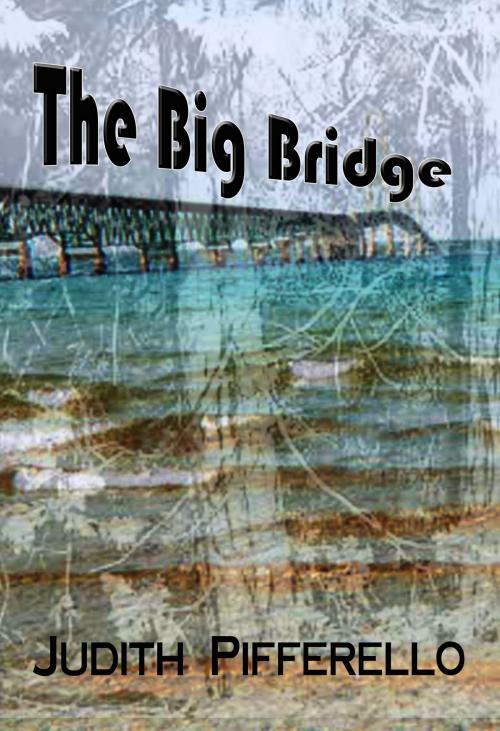 Cover of the book The Big Bridge by Judith Pifferello, Judith Pifferello