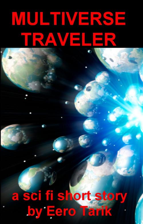 Cover of the book The Multiverse Traveler by Eero Tarik, Eero Tarik