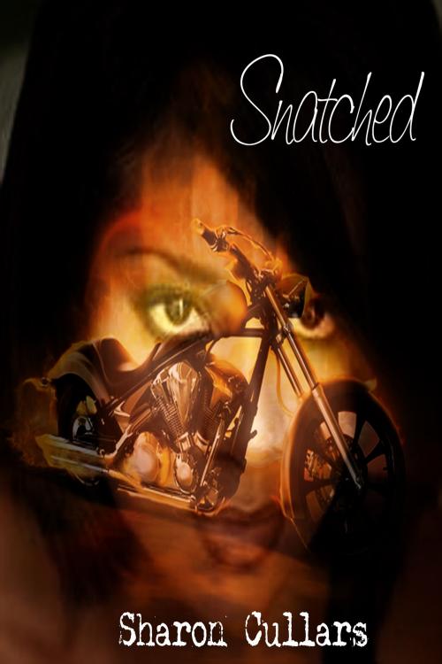 Cover of the book Snatched by Sharon Cullars, Sharon Cullars