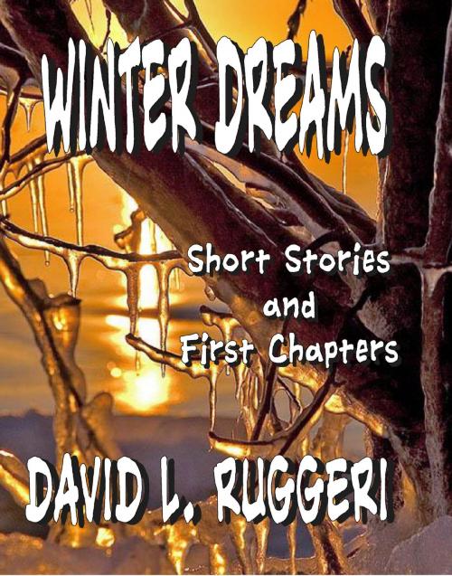 Cover of the book Winter Dreams by David Ruggeri, David Ruggeri