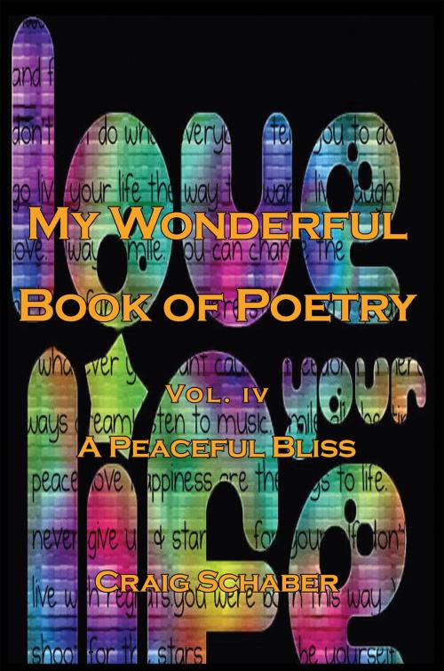 Cover of the book My Wonderful Book of Poetry Vol. Iv by Craig Schaber, Xlibris US