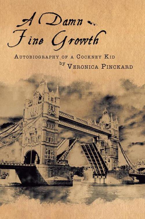 Cover of the book A Damn Fine Growth by Veronica Pinckard, Xlibris US
