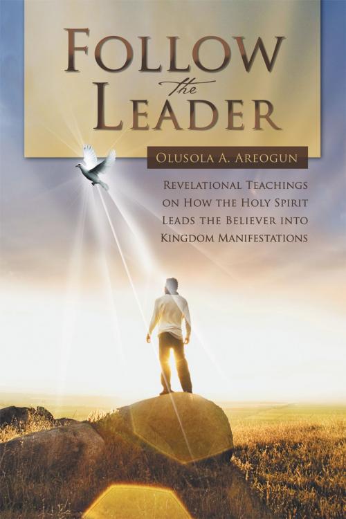 Cover of the book Follow the Leader by Olusola A. Areogun, Xlibris UK