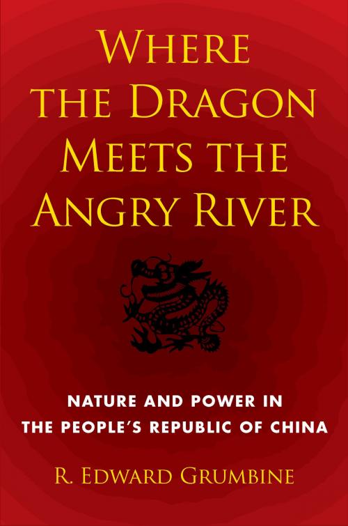 Cover of the book Where the Dragon Meets the Angry River by R. Edward Grumbine, Island Press