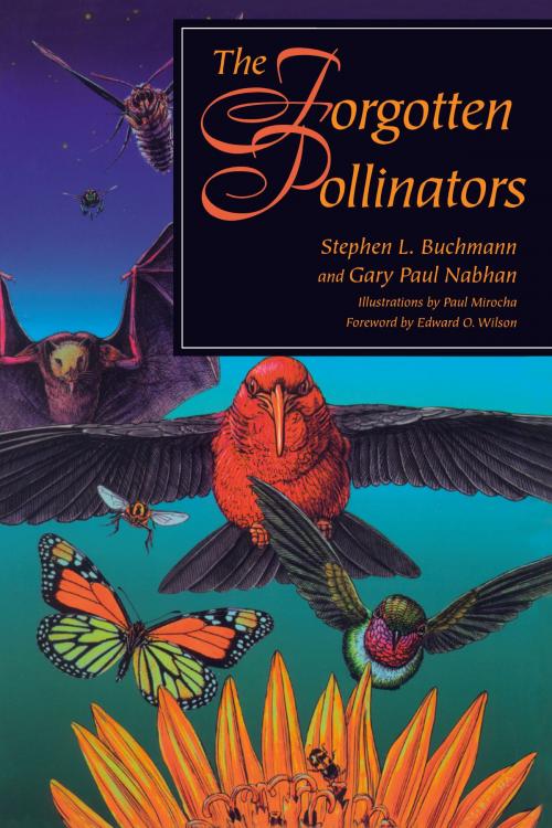 Cover of the book The Forgotten Pollinators by Gary Paul Nabhan, Stephen L. Buchmann, Island Press