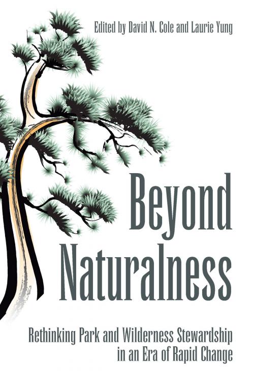 Cover of the book Beyond Naturalness by David N. Cole, Island Press