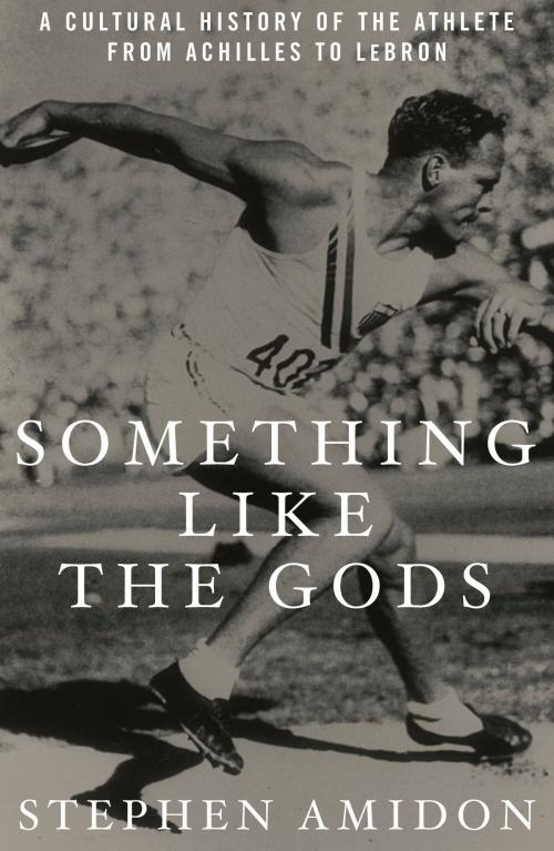 Cover of the book Something Like the Gods by Stephen Amidon, Potter/Ten Speed/Harmony/Rodale