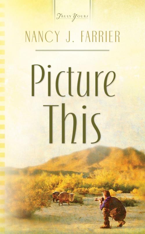 Cover of the book Picture This by Nancy J. Farrier, Barbour Publishing, Inc.