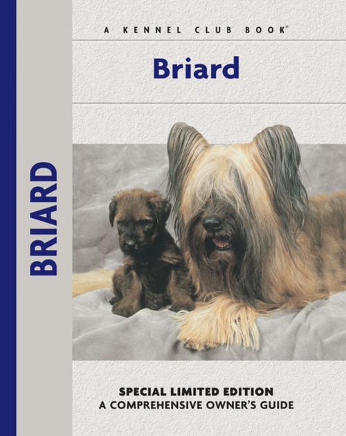 Cover of the book Briard by Desiree Scott, CompanionHouse Books