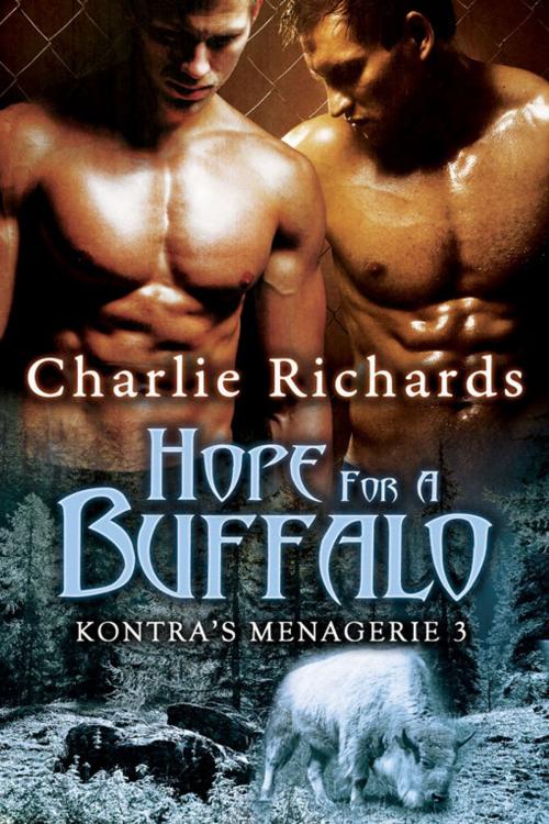 Cover of the book Hope for a Buffalo by Charlie Richards, eXtasy Books Inc