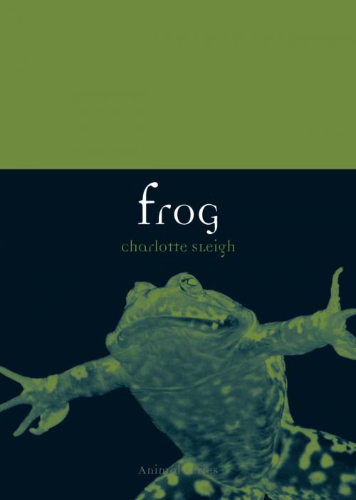 Cover of the book Frog by Charlotte Sleigh, Reaktion Books