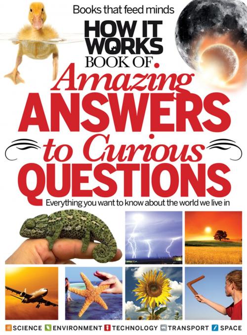 Cover of the book How It Works Amazing Answers to Curious Questions by Imagine Publishing, Imagine Publishing