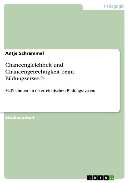 Cover of the book Chancengleichheit und Chancengerechtigkeit beim Bildungserwerb by Antje Schrammel, GRIN Verlag