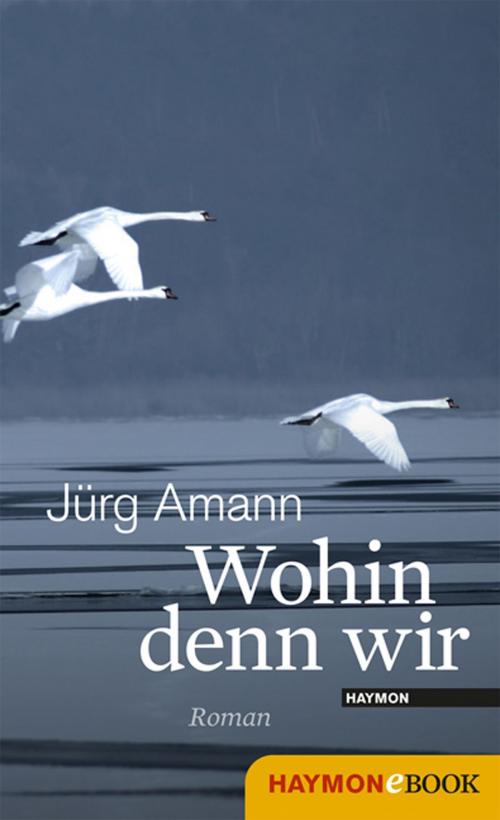 Cover of the book Wohin denn wir by Jürg Amann, Haymon Verlag