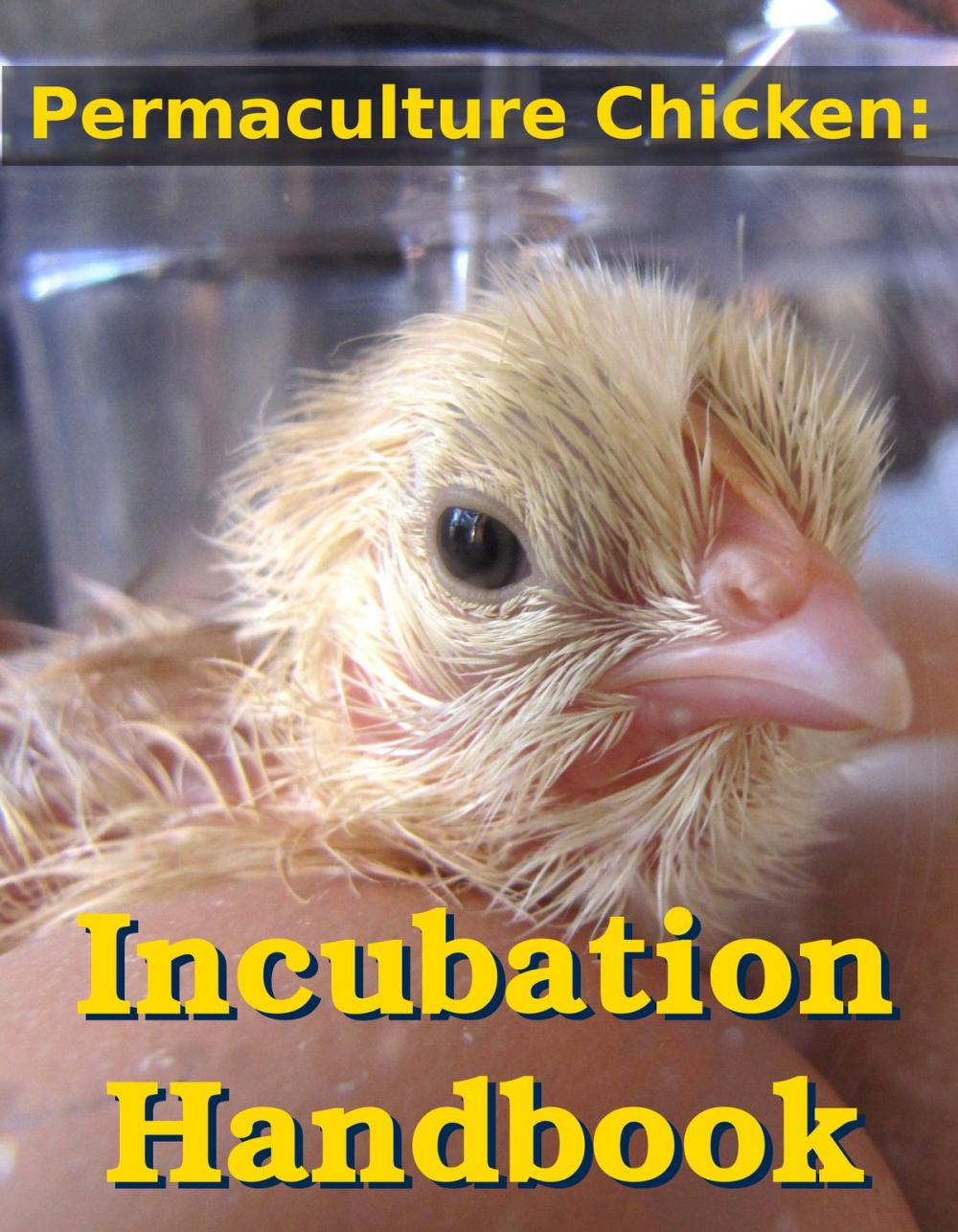 Big bigCover of Permaculture Chicken: Incubation Handbook