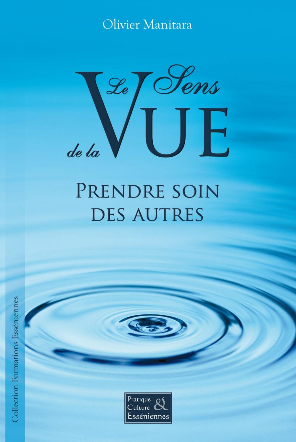 Big bigCover of Le sens de la vue