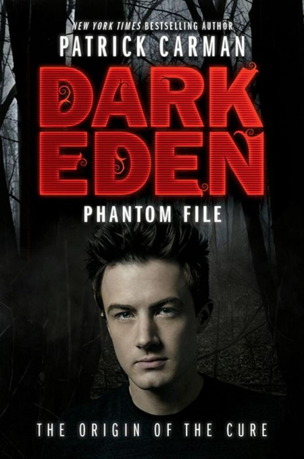 Big bigCover of Phantom File