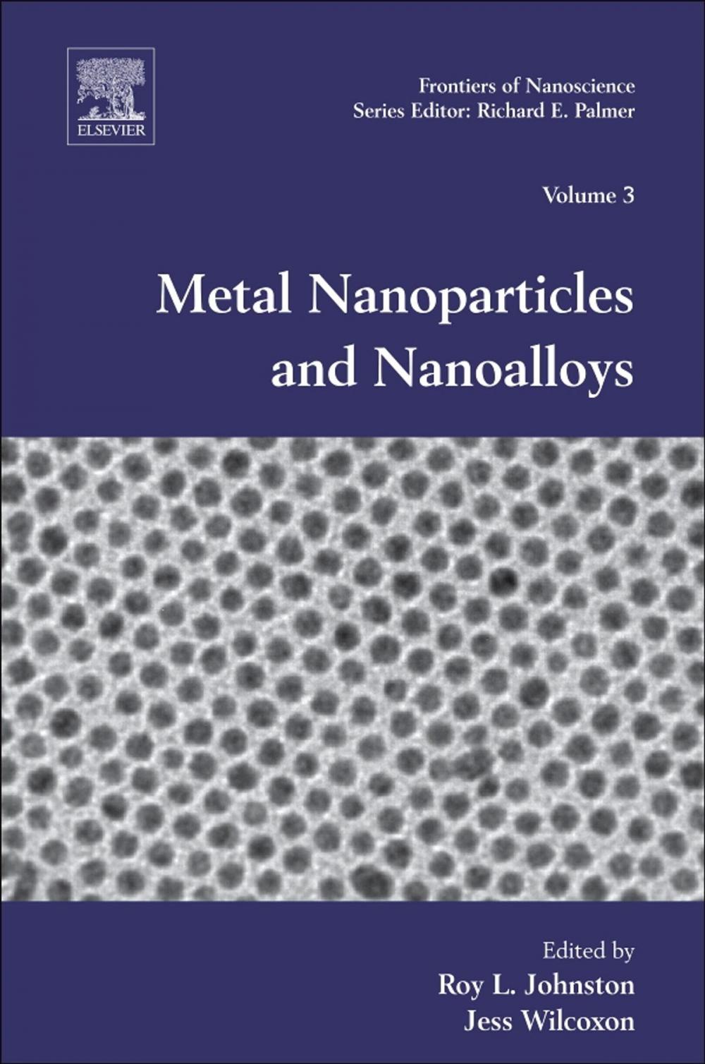 Big bigCover of Metal Nanoparticles and Nanoalloys