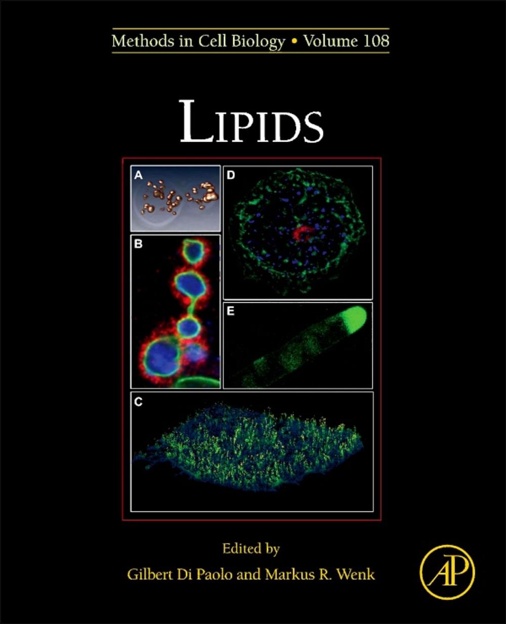 Big bigCover of Lipids