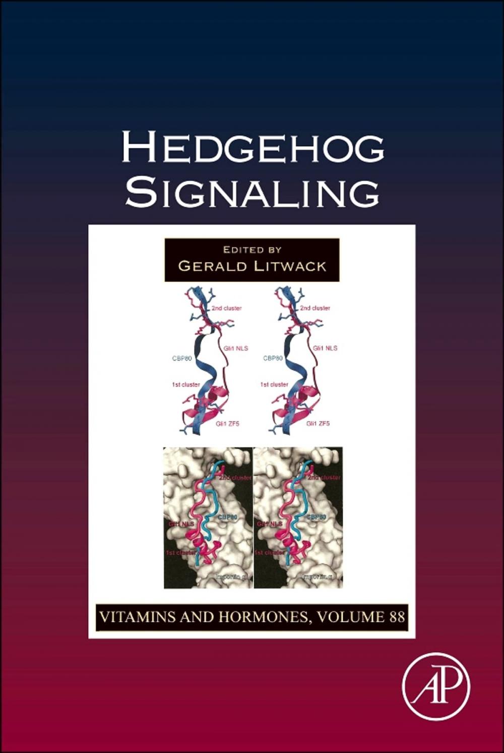 Big bigCover of Hedgehog Signaling