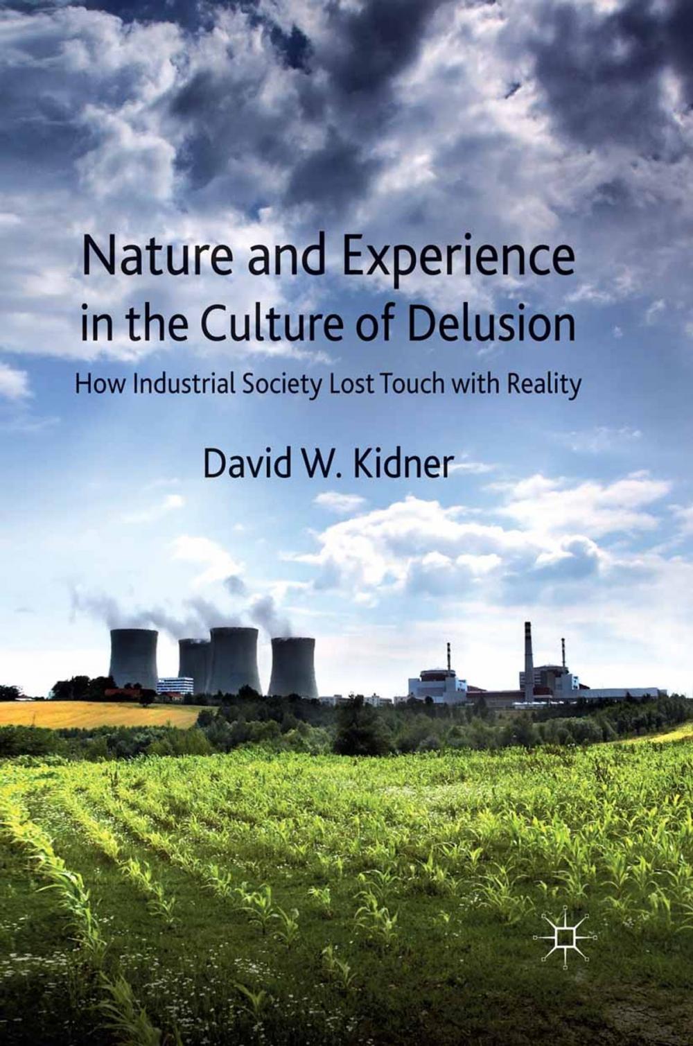 Big bigCover of Nature and Experience in the Culture of Delusion