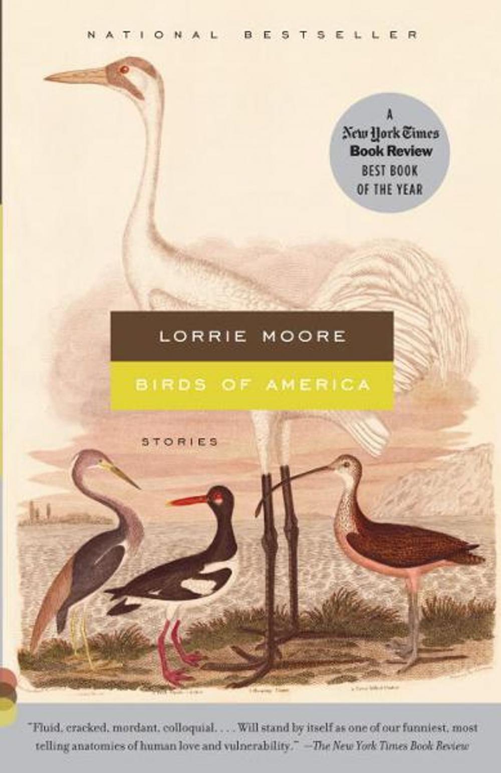 Big bigCover of Birds of America