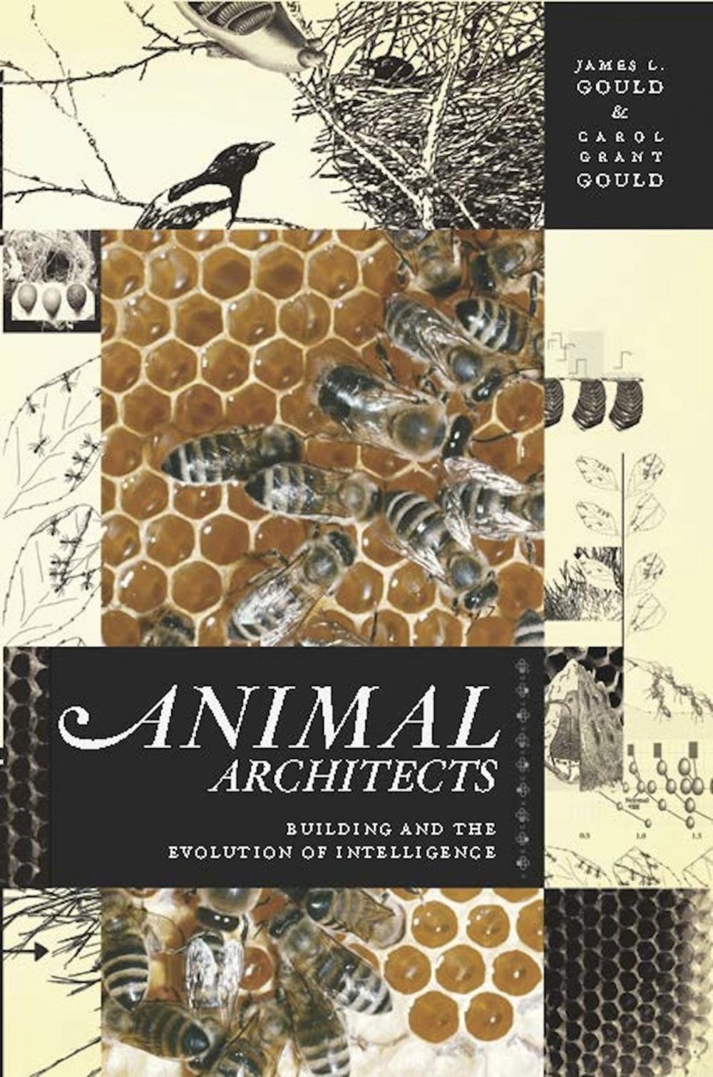 Big bigCover of Animal Architects