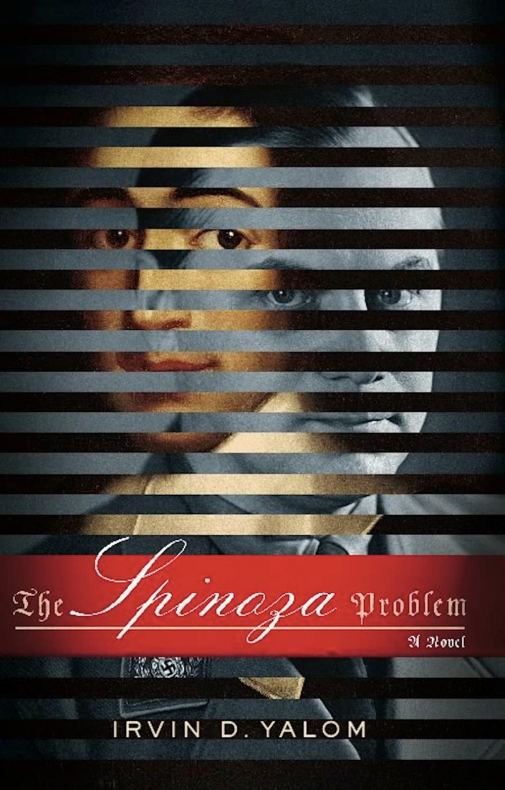 Big bigCover of The Spinoza Problem