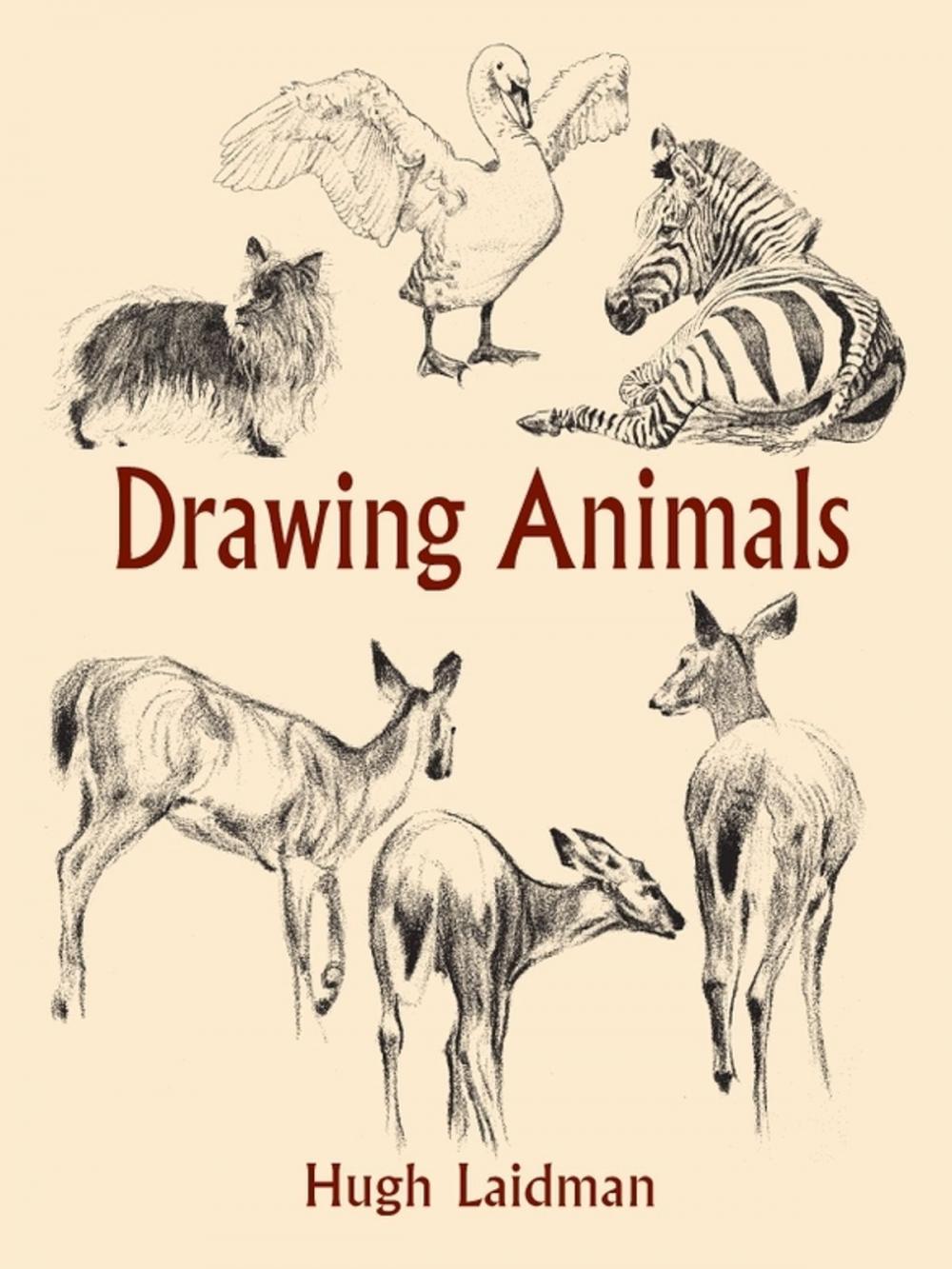 Big bigCover of Drawing Animals