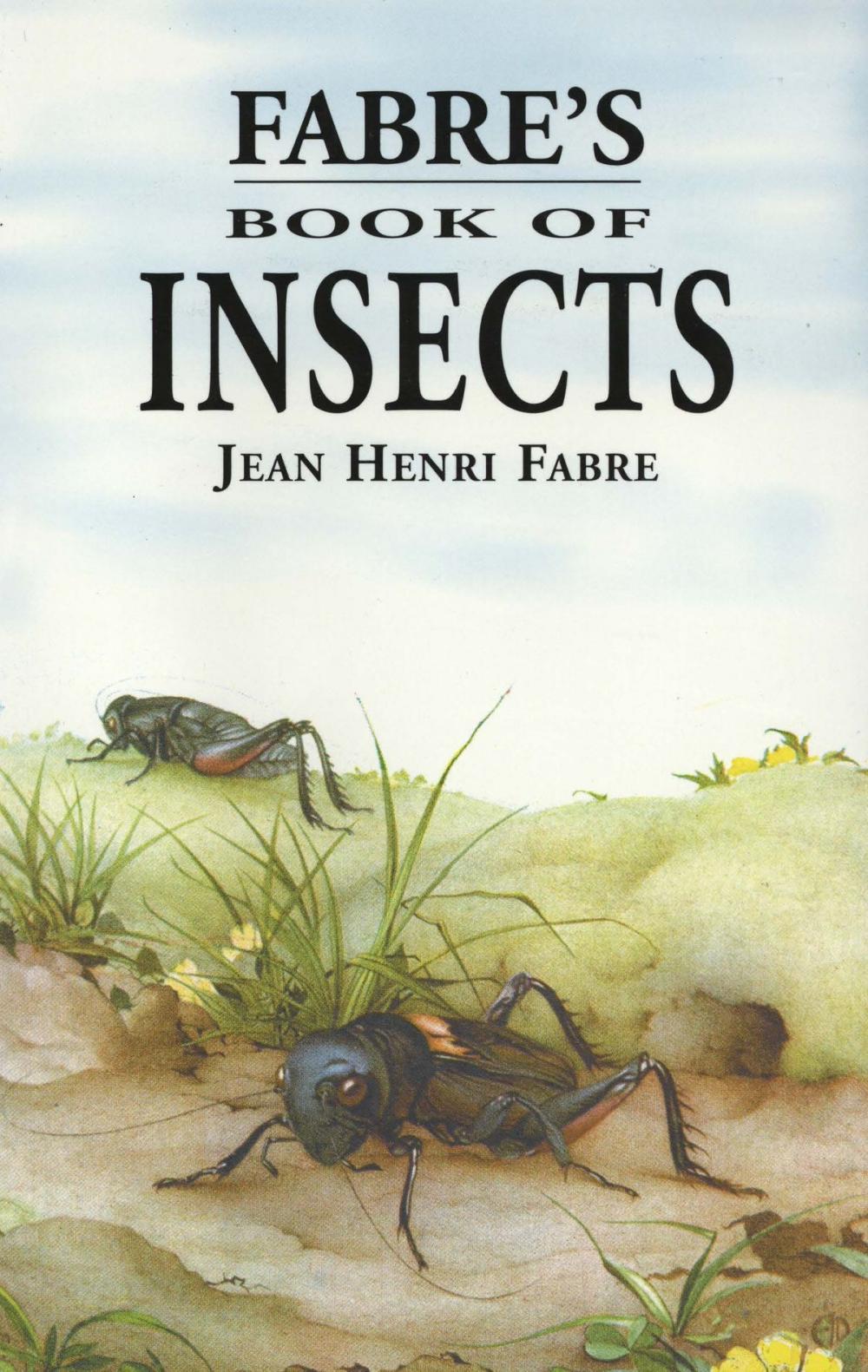 Big bigCover of Fabre's Book of Insects