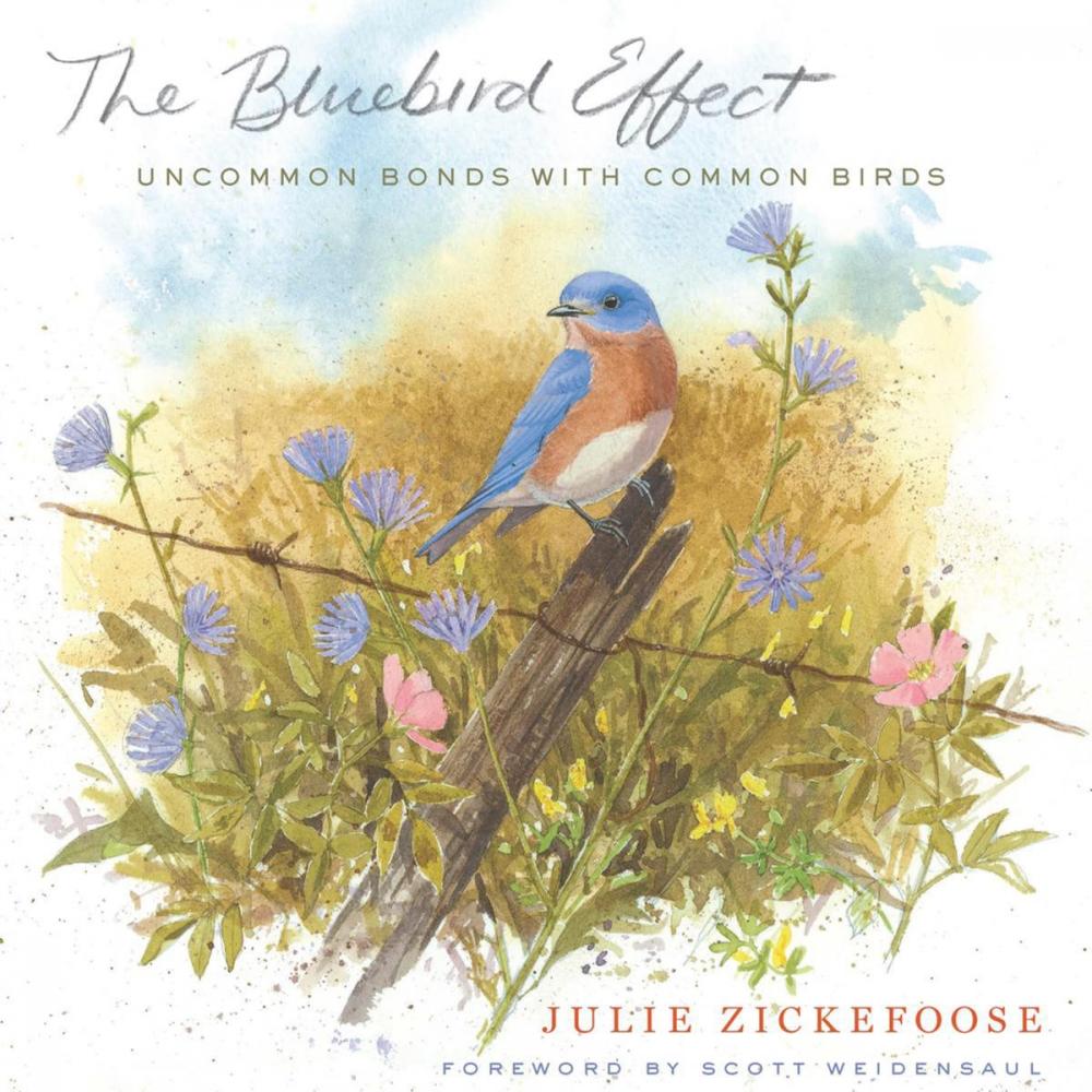 Big bigCover of The Bluebird Effect