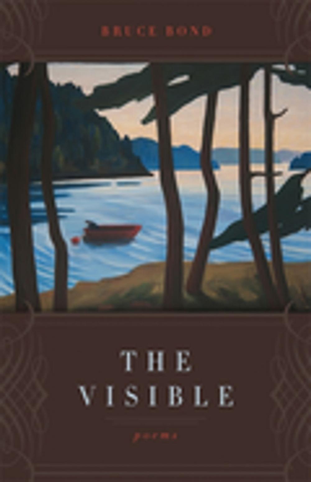 Big bigCover of The Visible