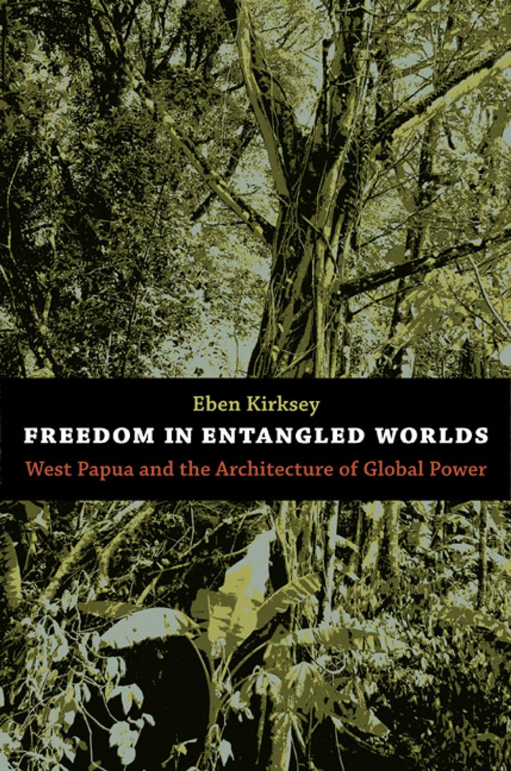 Big bigCover of Freedom in Entangled Worlds