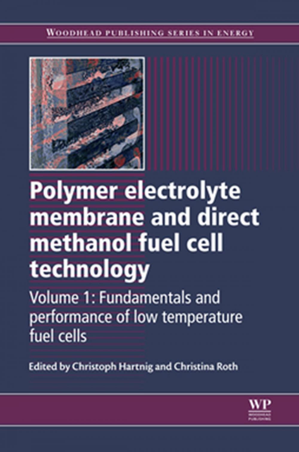 Big bigCover of Polymer Electrolyte Membrane and Direct Methanol Fuel Cell Technology