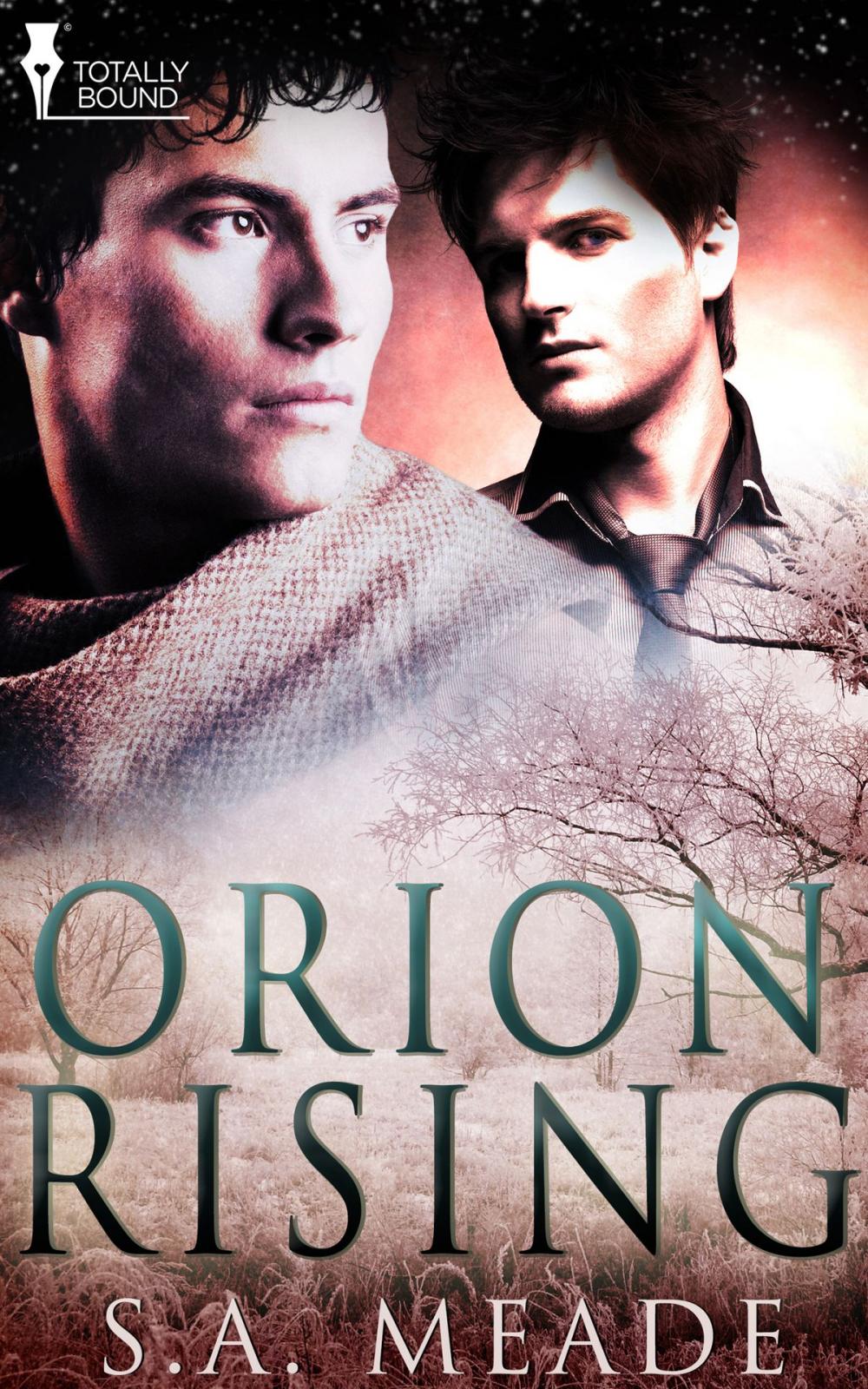 Big bigCover of Orion Rising