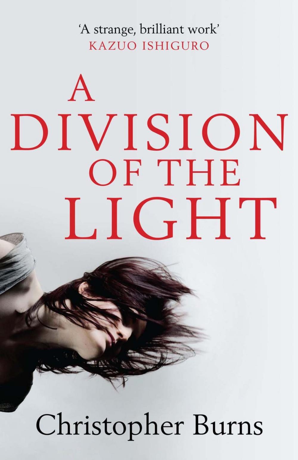 Big bigCover of A Division of the Light