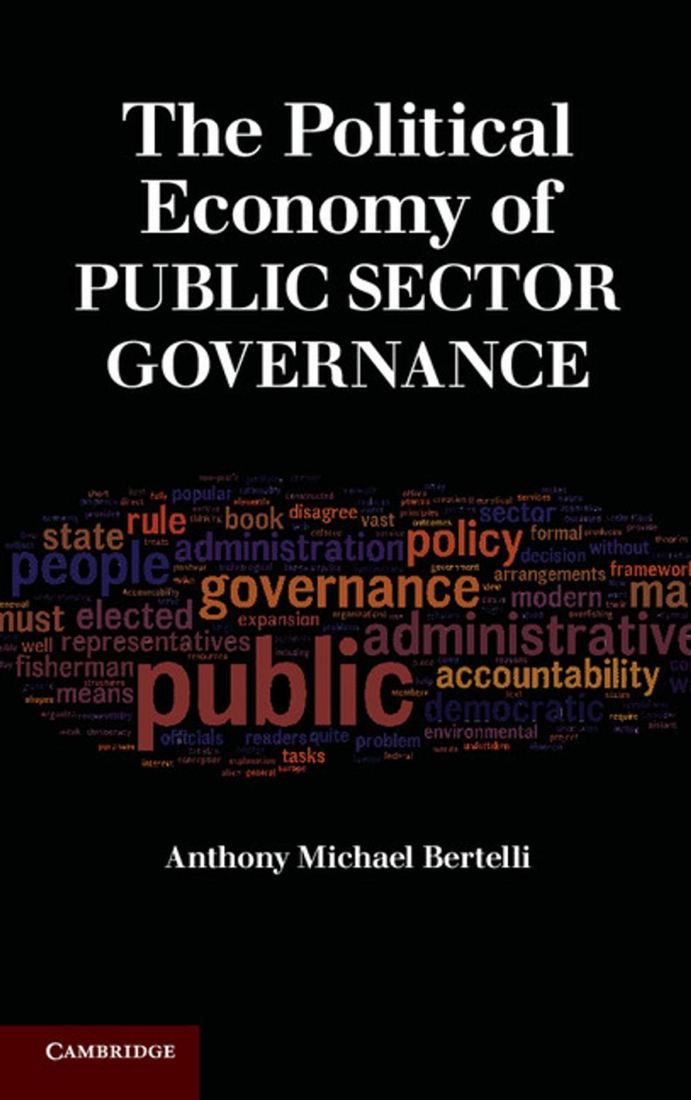 Big bigCover of The Political Economy of Public Sector Governance