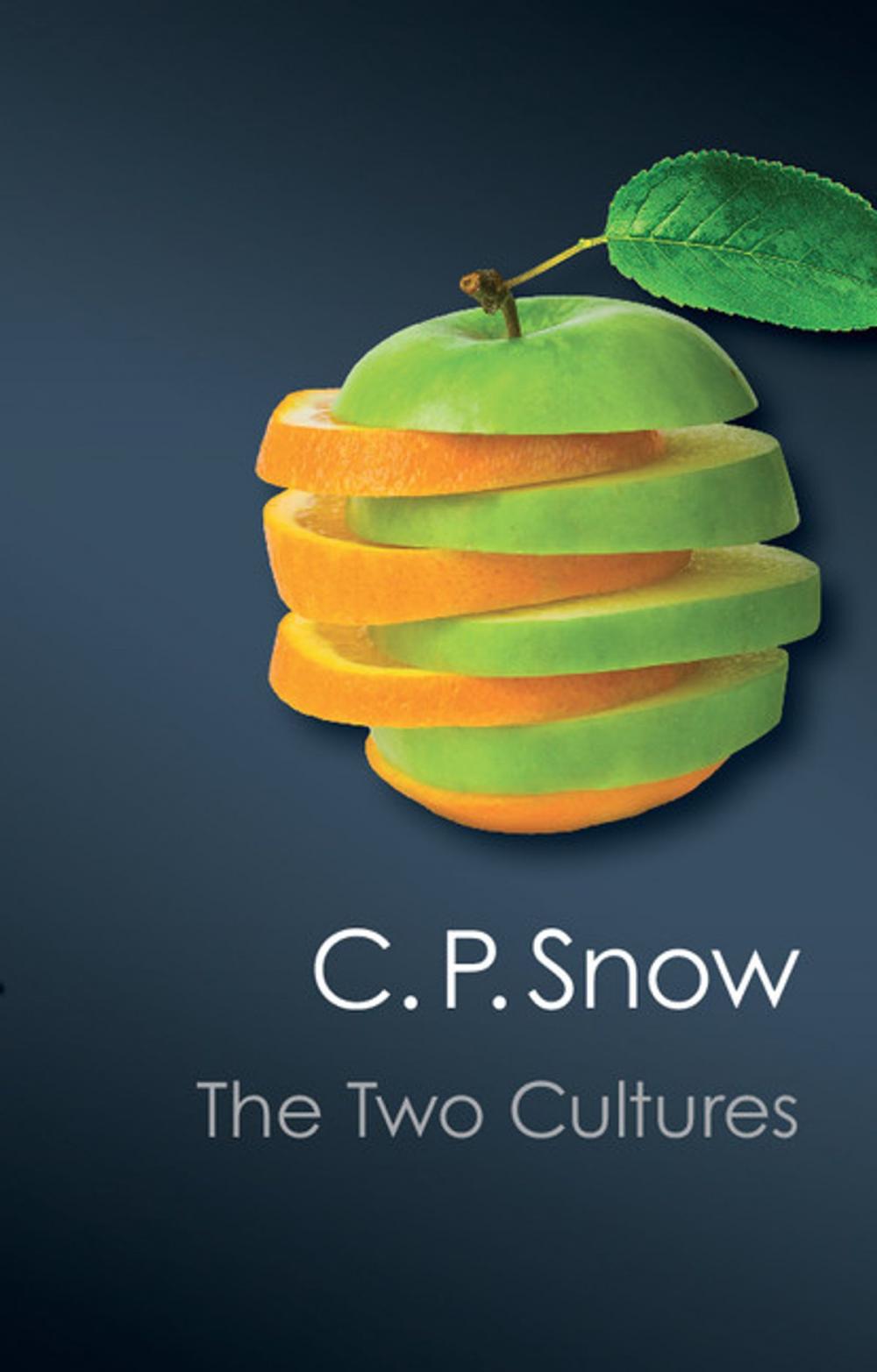 Big bigCover of The Two Cultures