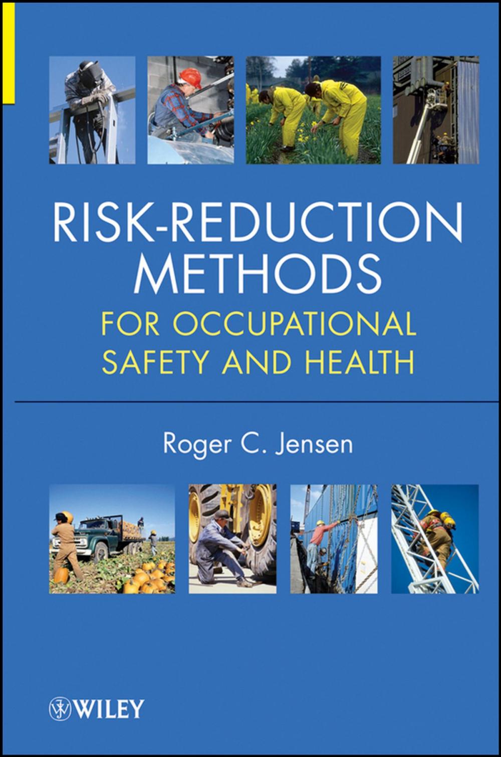 Big bigCover of Risk-Reduction Methods for Occupational Safety and Health
