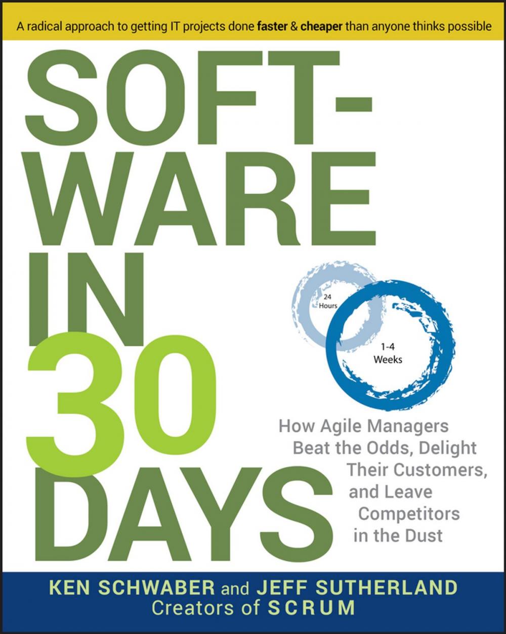 Big bigCover of Software in 30 Days