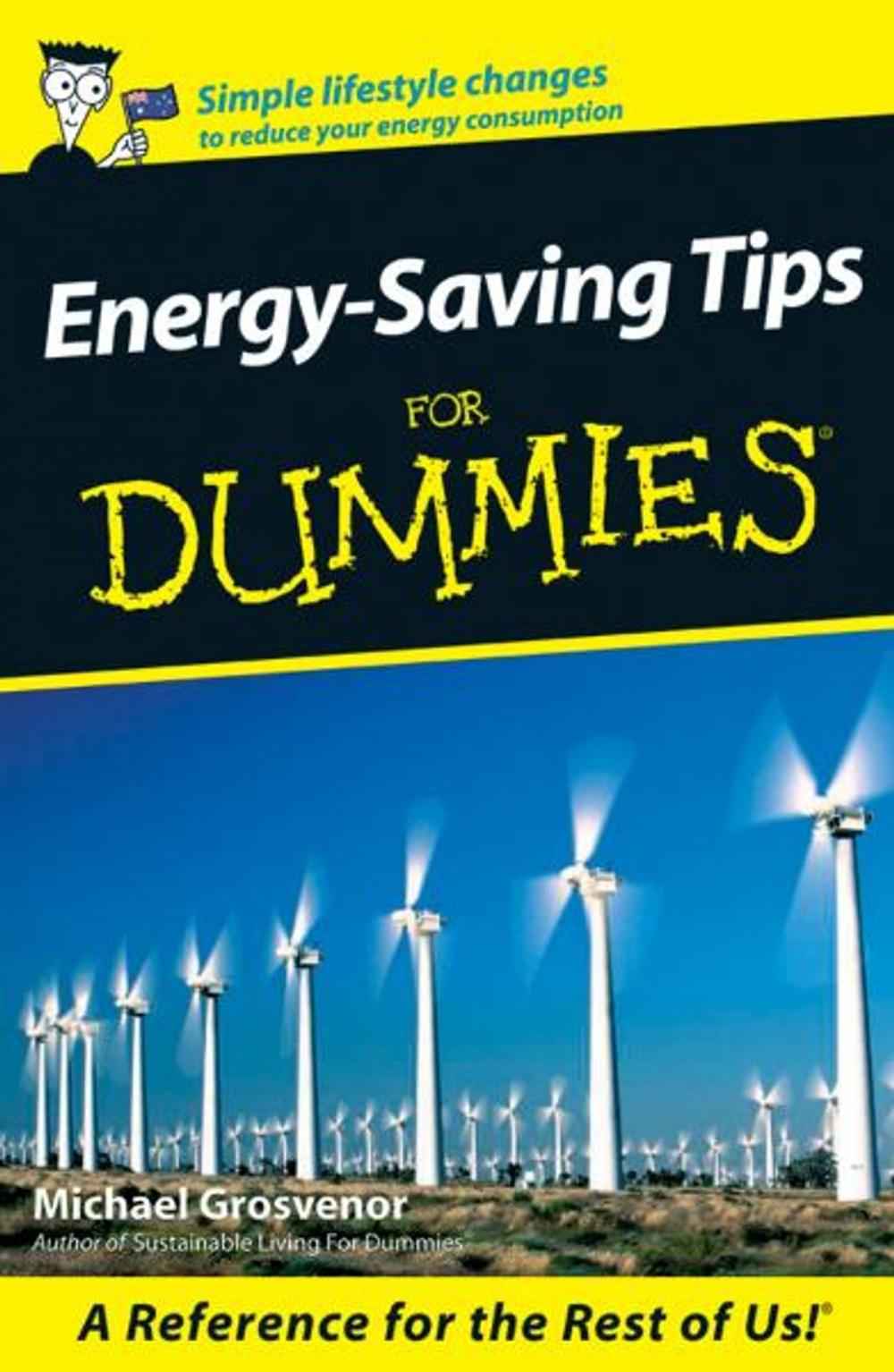 Big bigCover of Energy-Saving Tips For Dummies