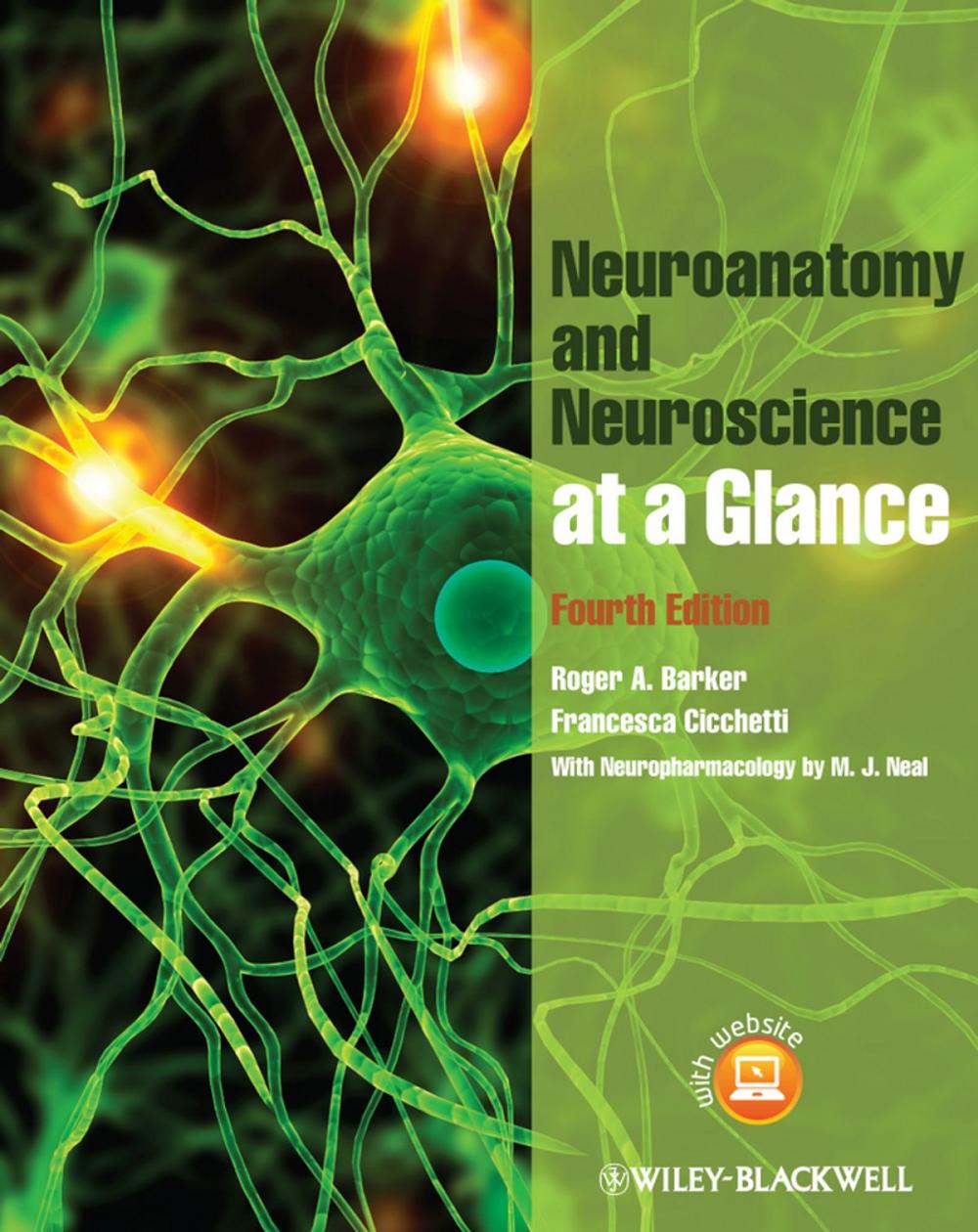 Big bigCover of Neuroanatomy and Neuroscience at a Glance