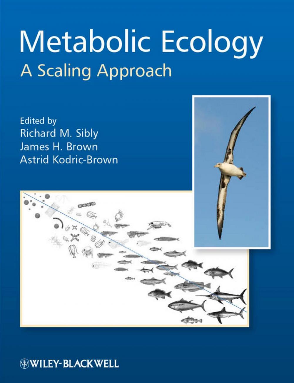 Big bigCover of Metabolic Ecology