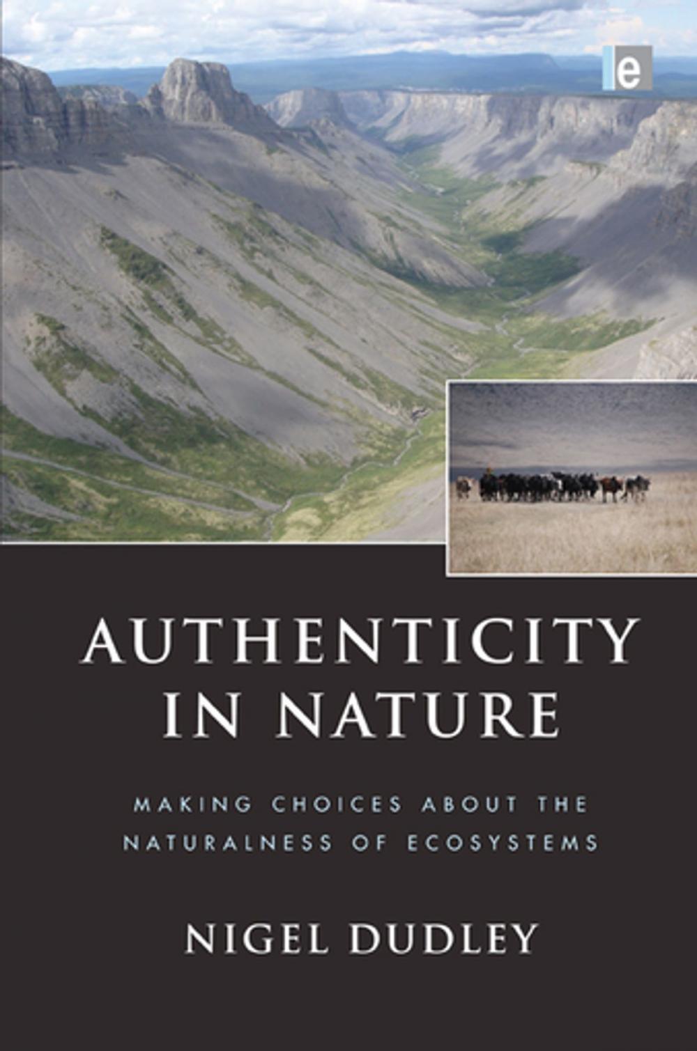 Big bigCover of Authenticity in Nature