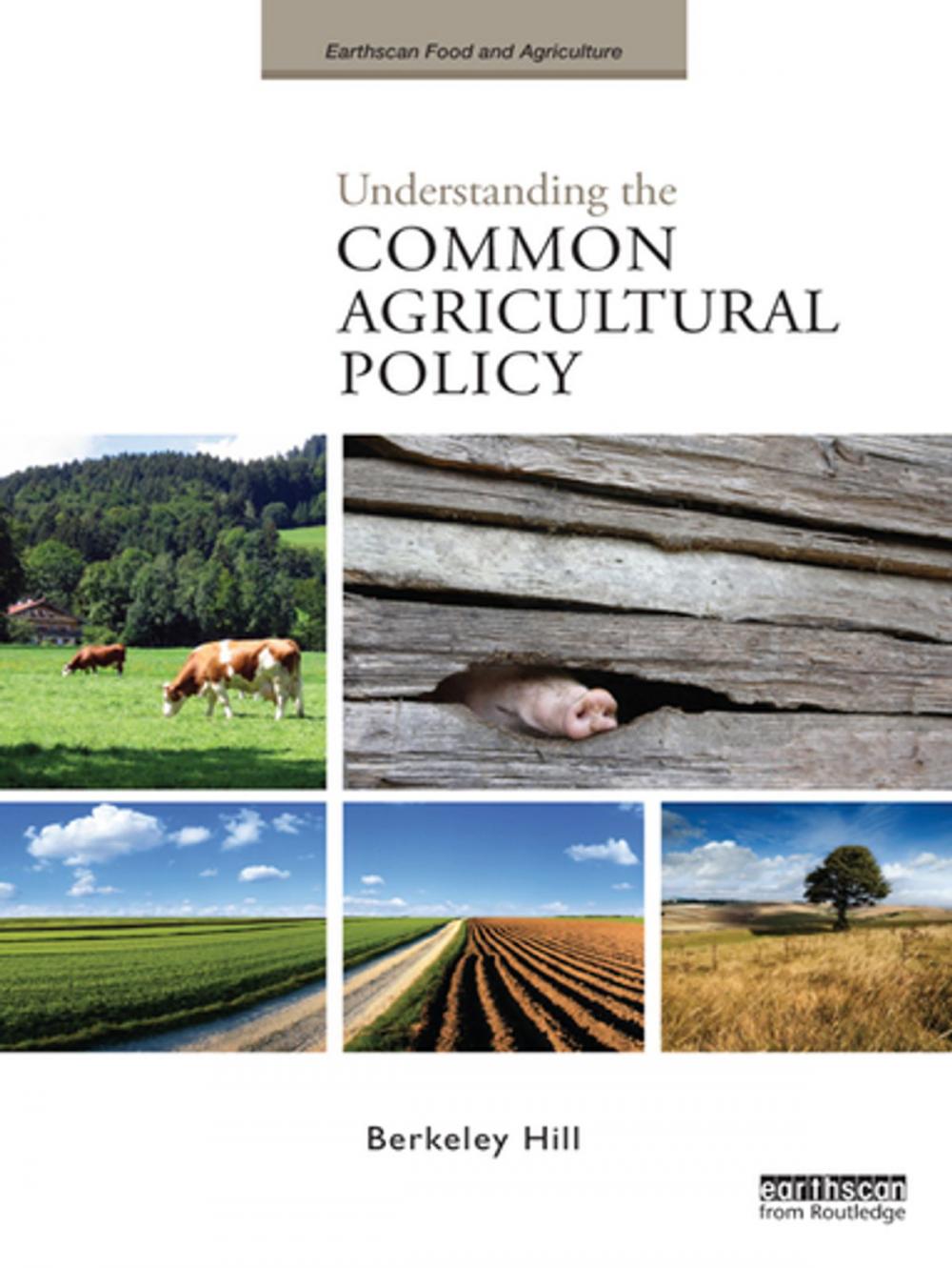 Big bigCover of Understanding the Common Agricultural Policy