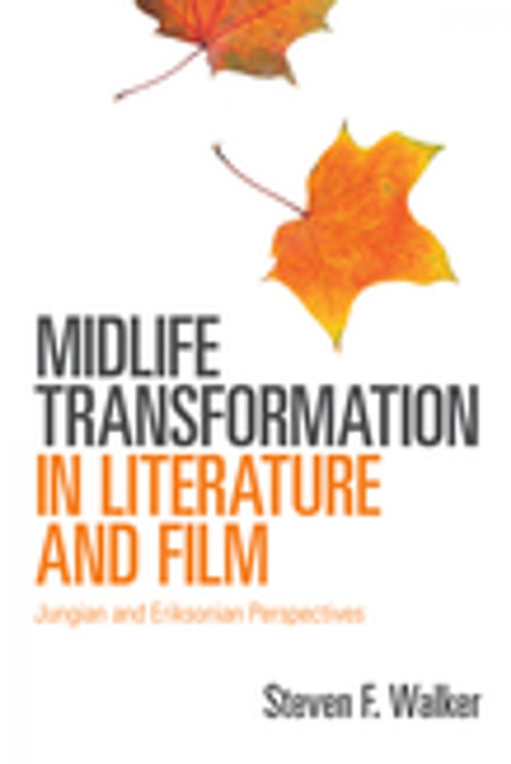 Big bigCover of Midlife Transformation in Literature and Film