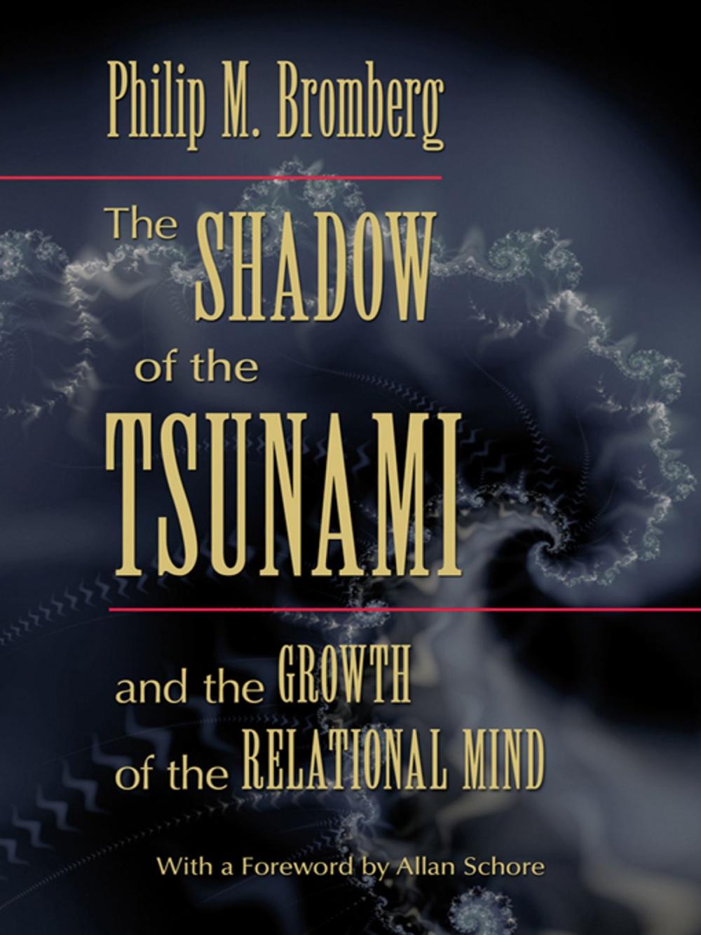 Big bigCover of The Shadow of the Tsunami